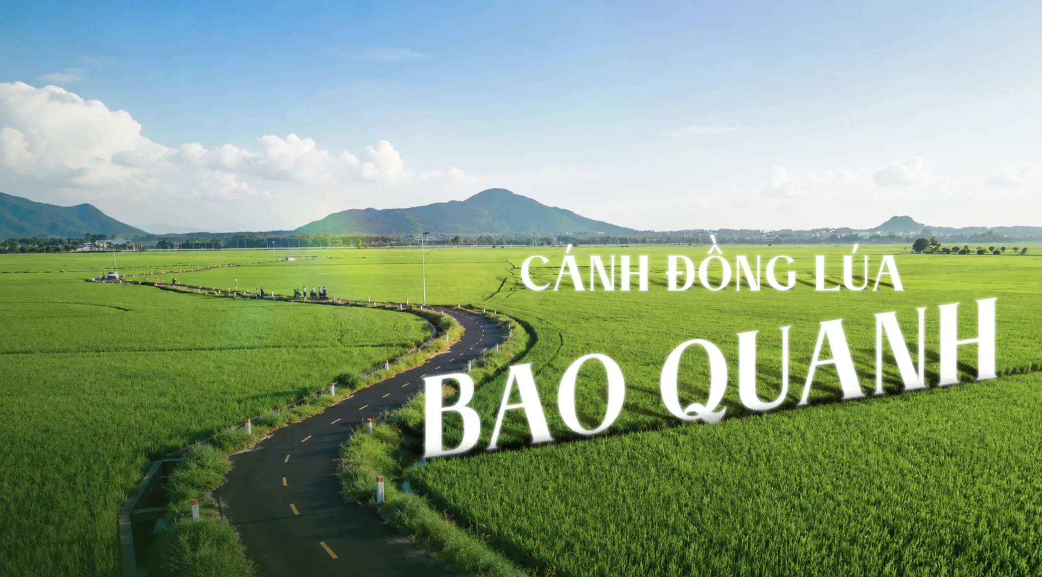 Cánh đồng lúa tuyệt đẹp