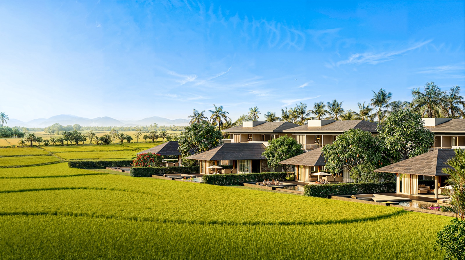 Dinh Thự Ven Đồng Lúa